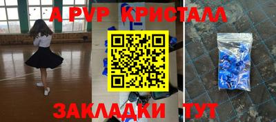 шишки Тара