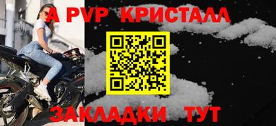 шишки Тара