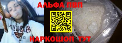 шишки Тара