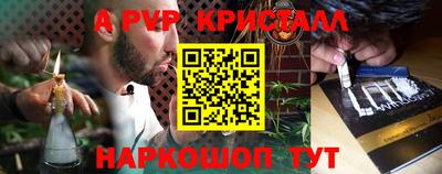 шишки Тара