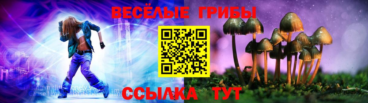 Псилоцибиновые грибы Psilocybe  Вход с VPN  Октябрьский 